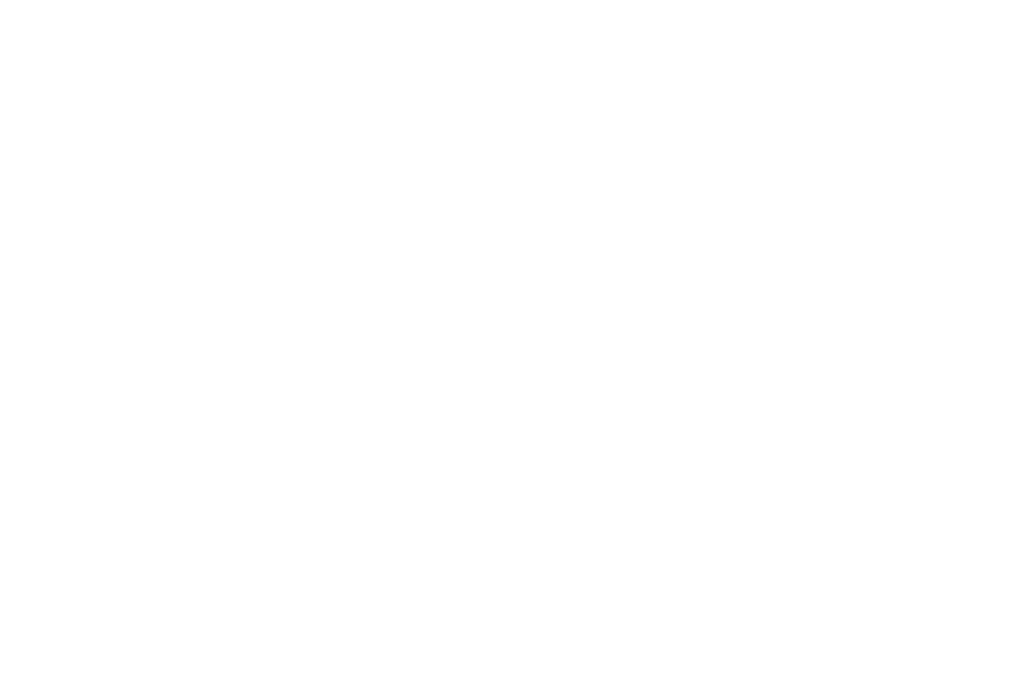 Wiesen Cerveza Artesanal Sin Gluten